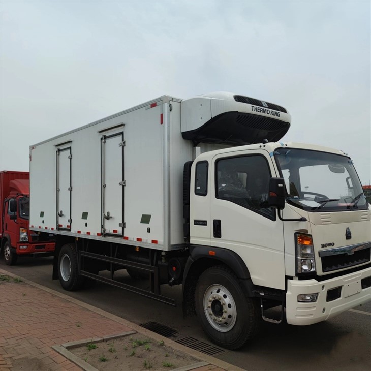 China High Quality Sinotruk 4X2 5Ton Freezer Lorry Manufacturers