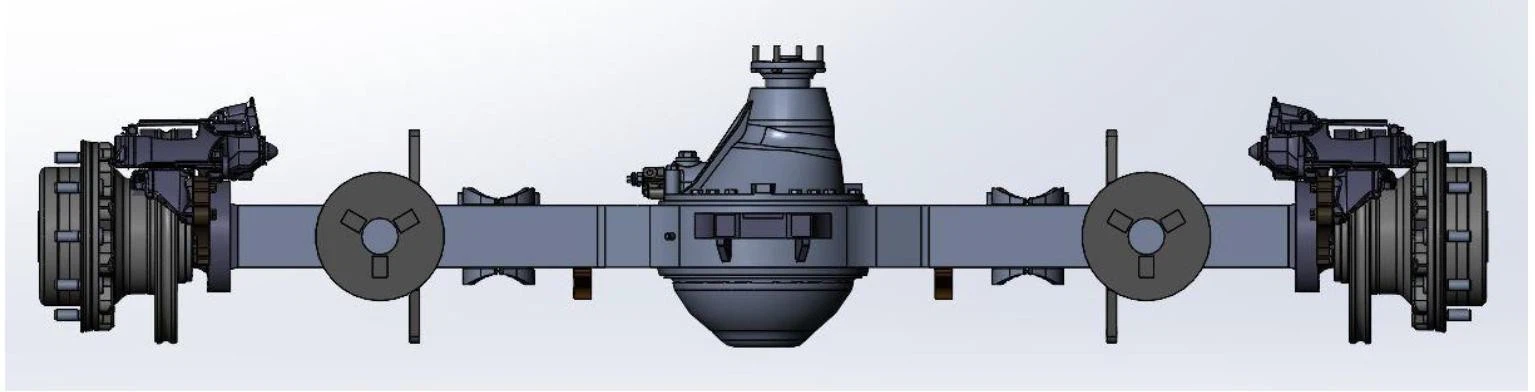 Rear axle With differential lock
